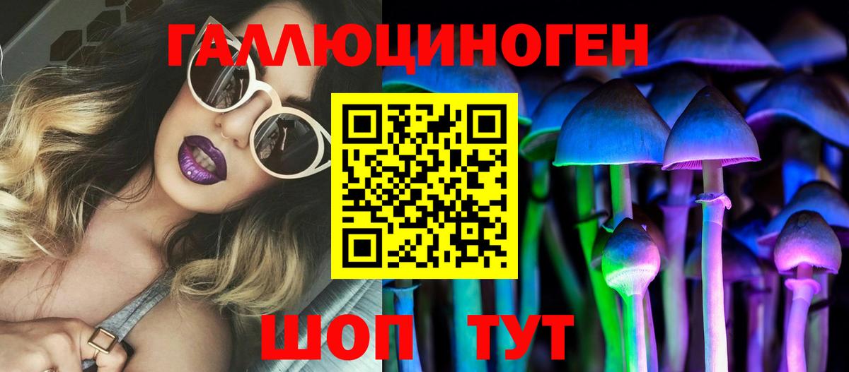 Псилоцибиновые грибы Psilocybe  Вход с VPN  Псилоцибиновые грибы MAGIC MUSHROOMS  даркнет сайт  Рузаевка 