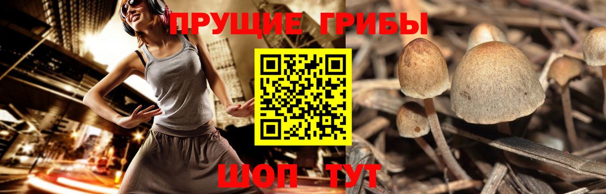 Галлюциногенные грибы мицелий Рузаевка